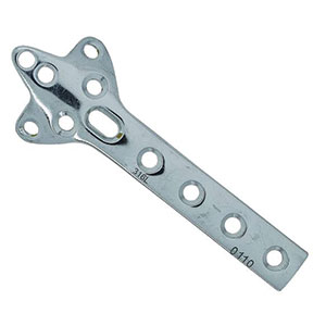 Cloverleaf-Plate